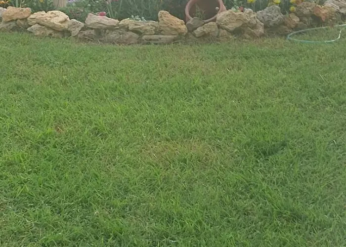 Alex Agios Ilias (Elis)